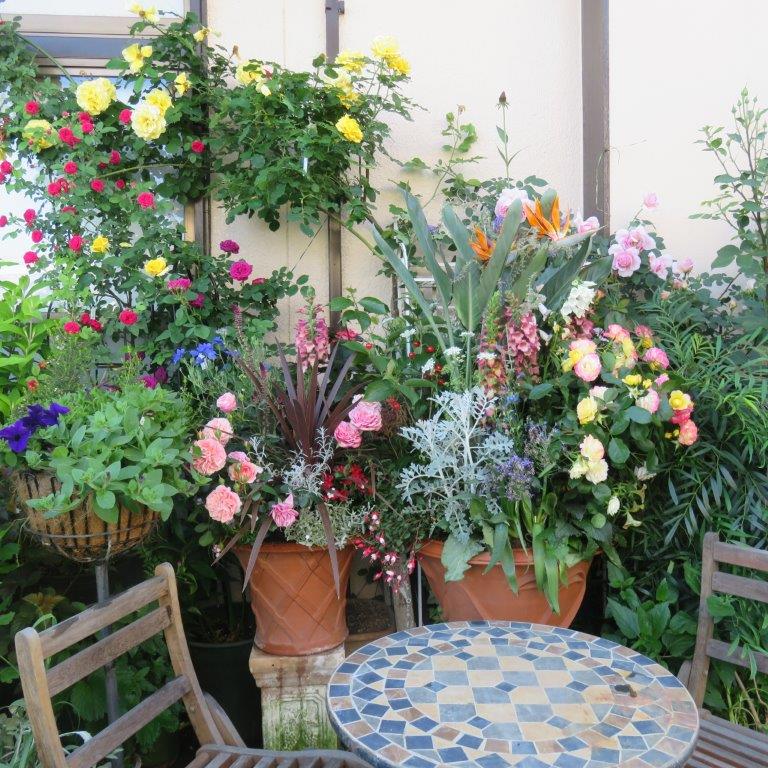 バラと寄せ植えの庭 オープンガーデン ジャパン
